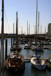 Similar image 8018982