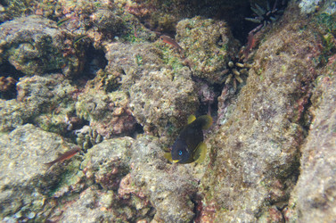 Similar image 8018992