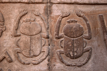 Similar image 8018994