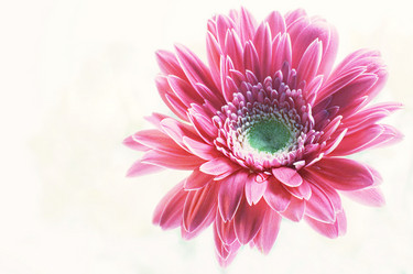 Similar image 8018997