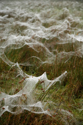 Similar image 8019006