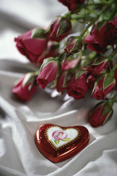 Similar image 8019007