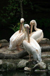 Similar image 8019008