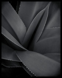 Similar image 8019014