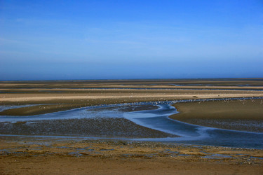 Similar image 8019018