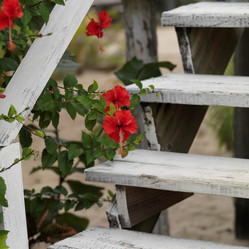 Similar image 8019028