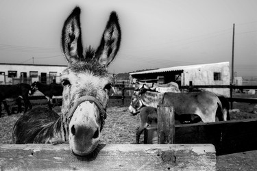 Similar image 8019037