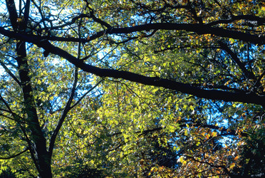 Similar image 8019053