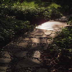 Similar image 8019055