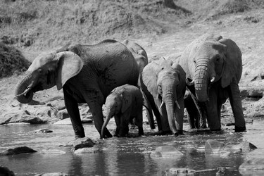 Similar image 8019267