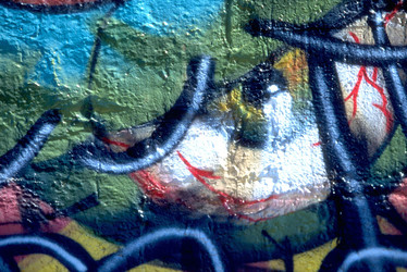 Similar image 8019269