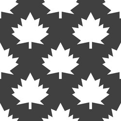 Similar image 8020136