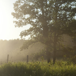 Similar image 8020920