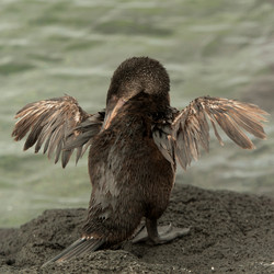 Similar image 8020921