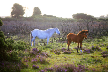 Similar image 8020923