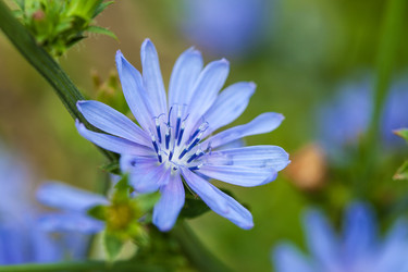 Similar image 8020944