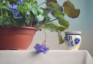 Similar image 8026050