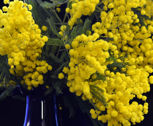 Similar image 8026052