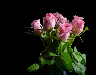 Similar image 8026053