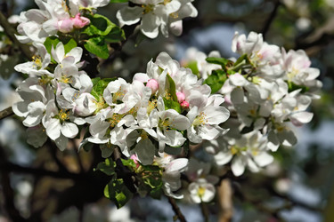 Similar image 8026066