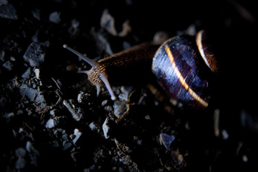 Similar image 8026084