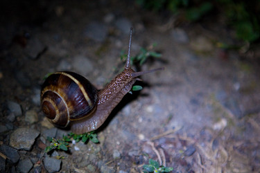 Similar image 8026085