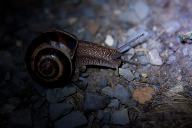 Similar image 8026086