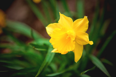 Similar image 8026106