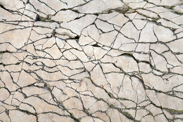 Similar image 8026454