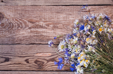 Similar image 8026463