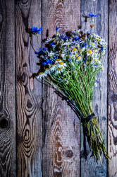 Similar image 8026464