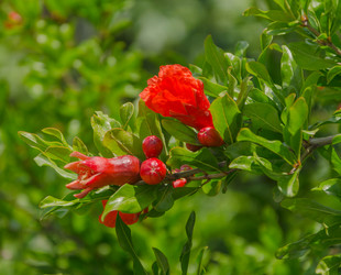 Similar image 8026465