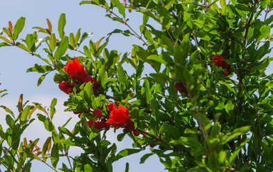 Similar image 8026467