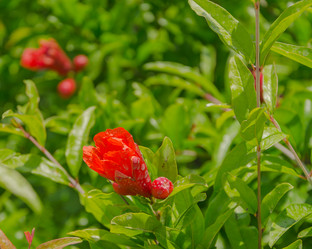 Similar image 8026468