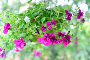 Similar image 8026485