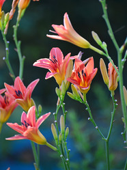 Similar image 8026487