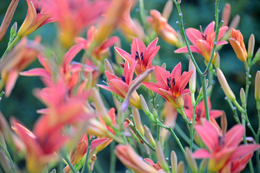 Similar image 8026488