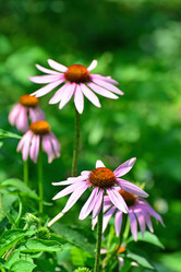 Similar image 8026490