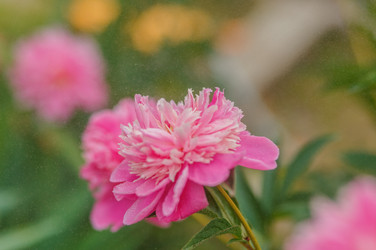 Similar image 8026501