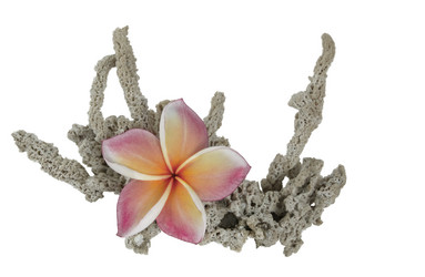 Similar image 8026520