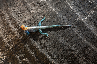 Similar image 8026531