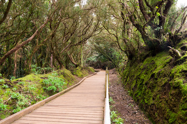 Similar image 8026566