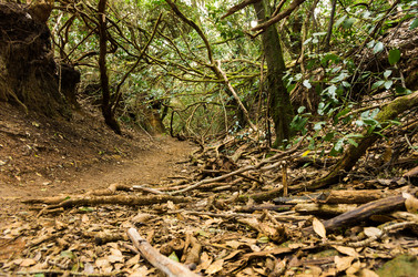 Similar image 8026567