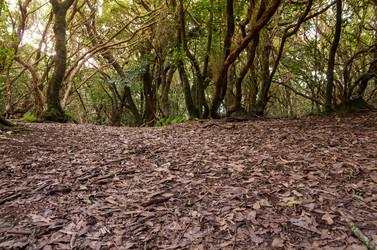 Similar image 8026568