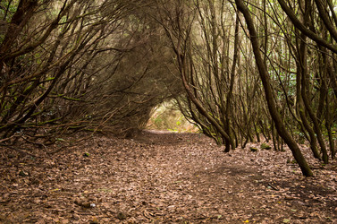 Similar image 8026569