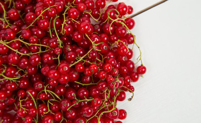 Similar image 8026587