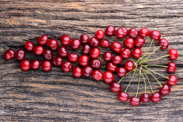 Similar image 8026626