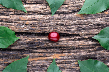 Similar image 8026628