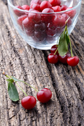 Similar image 8026648