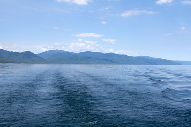 Similar image 8026654